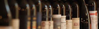 Guida all' avviamento di un' Enoteca 